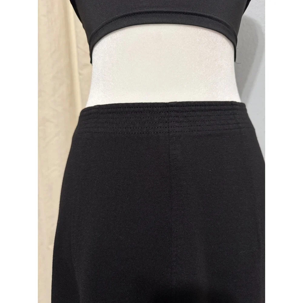 Charter Club Midi Skirt Size 8 Black Paneled Side Zip A-Line Career Minimalist